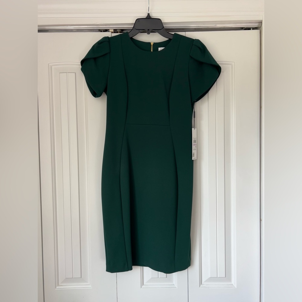 Calvin Klein Dark Green Dress